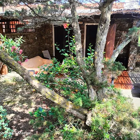 度假居 Indipendente Immersa Nel